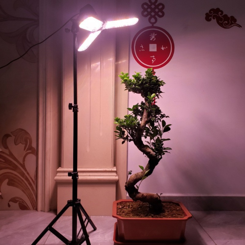 Подставка для лампочки 2 м, цо – обзор и цена Photography Umbrella